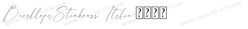 BerallopaStinkross Italic字体转换